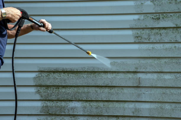 Best Pressure Washing Siding  in Plainview, TN